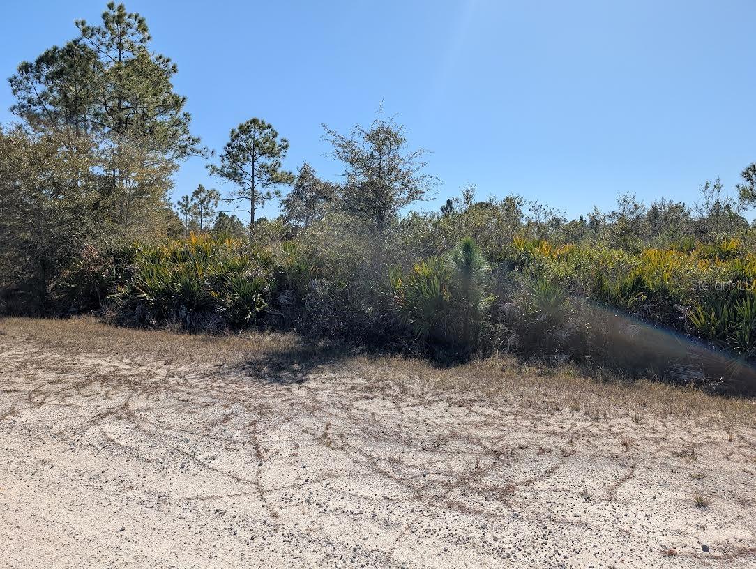 503 ALBA Dr INDIAN LAKE ESTATES, FL 33855