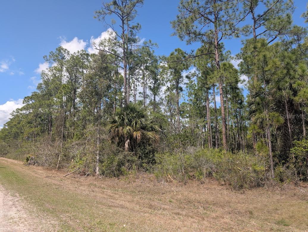 802 ALTHEA Dr INDIAN LAKE ESTATES, FL 33855