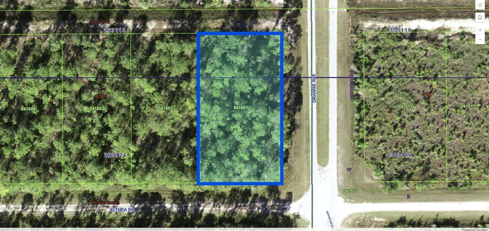 802 ALTHEA Dr INDIAN LAKE ESTATES, FL 33855