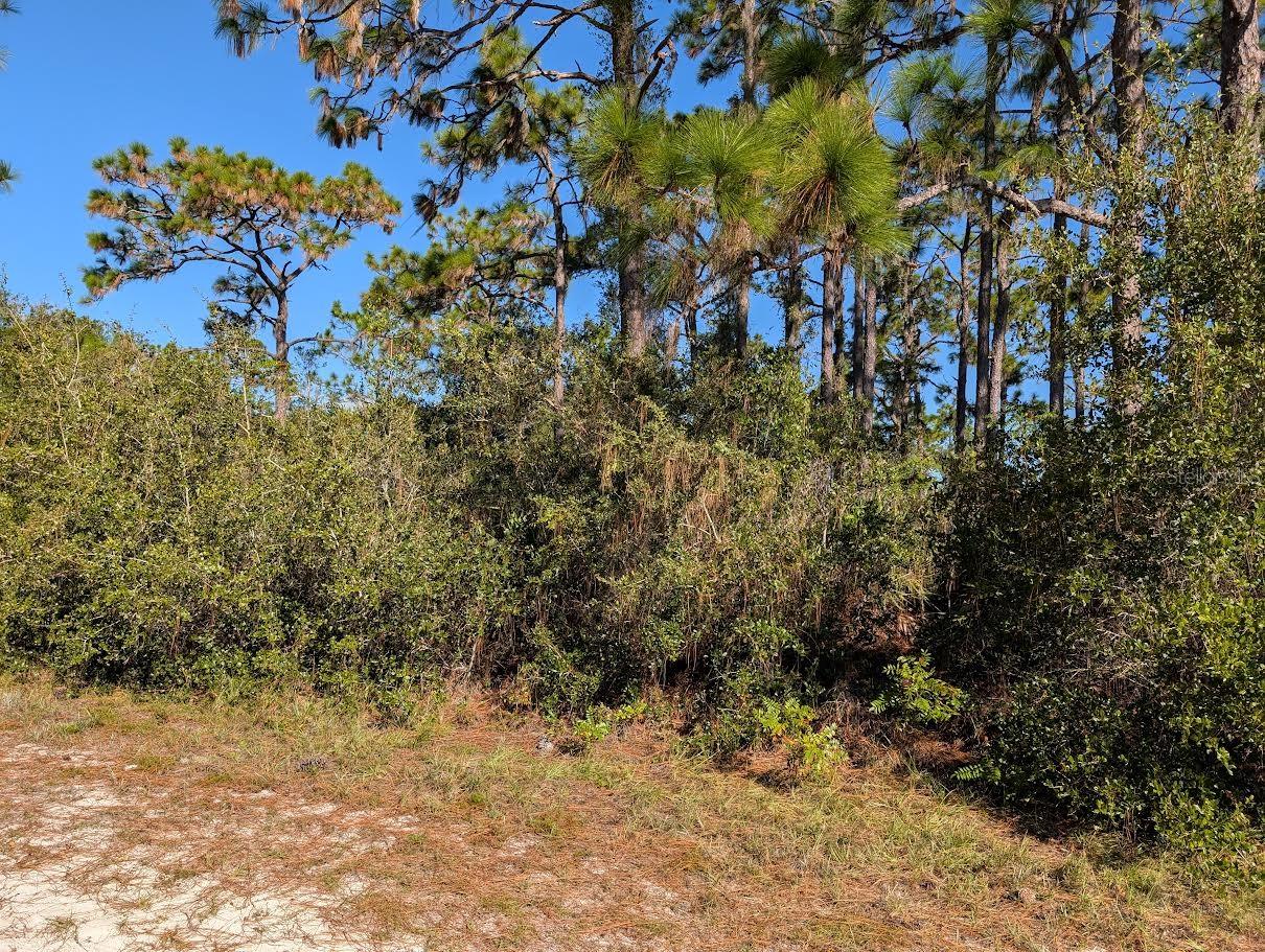 806 EL DORADO Dr INDIAN LAKE ESTATES, FL 33855