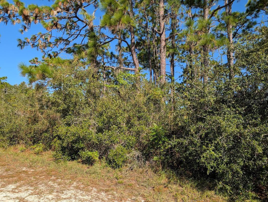 806 EL DORADO Dr INDIAN LAKE ESTATES, FL 33855