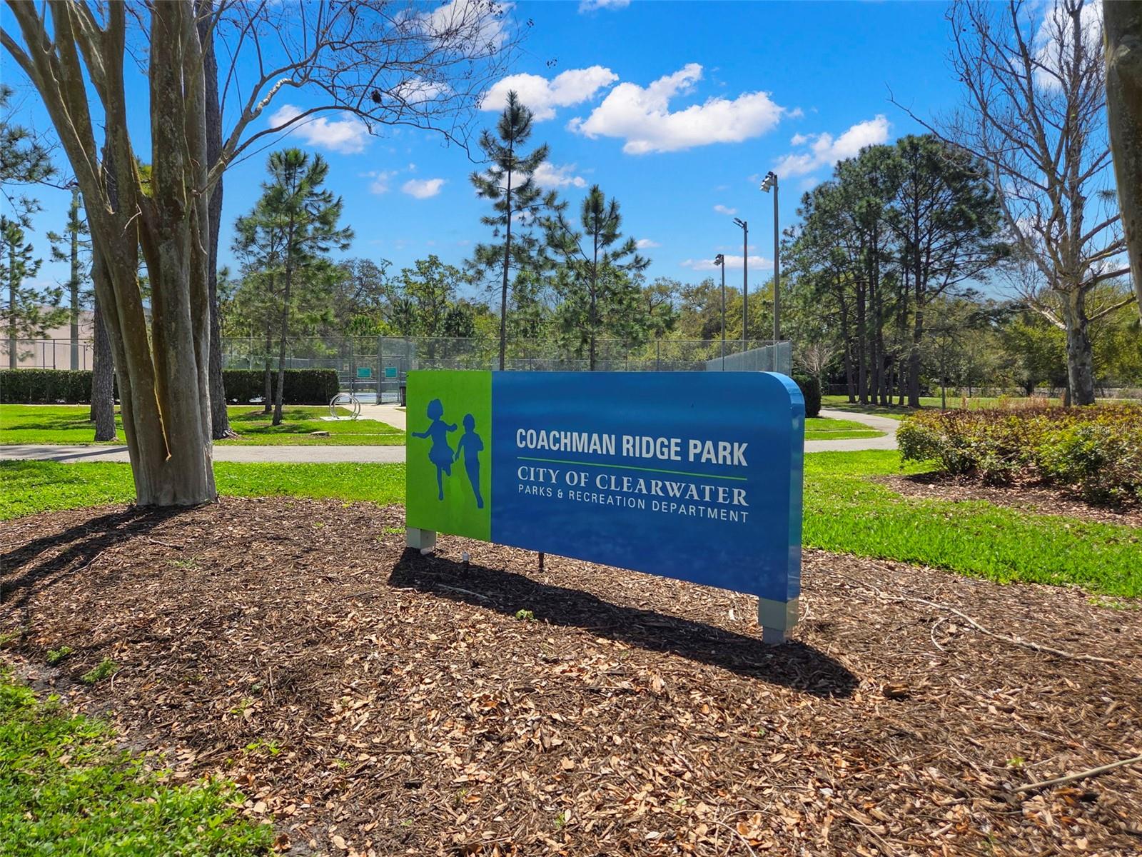 2221 Ter Dr CLEARWATER, FL 33765