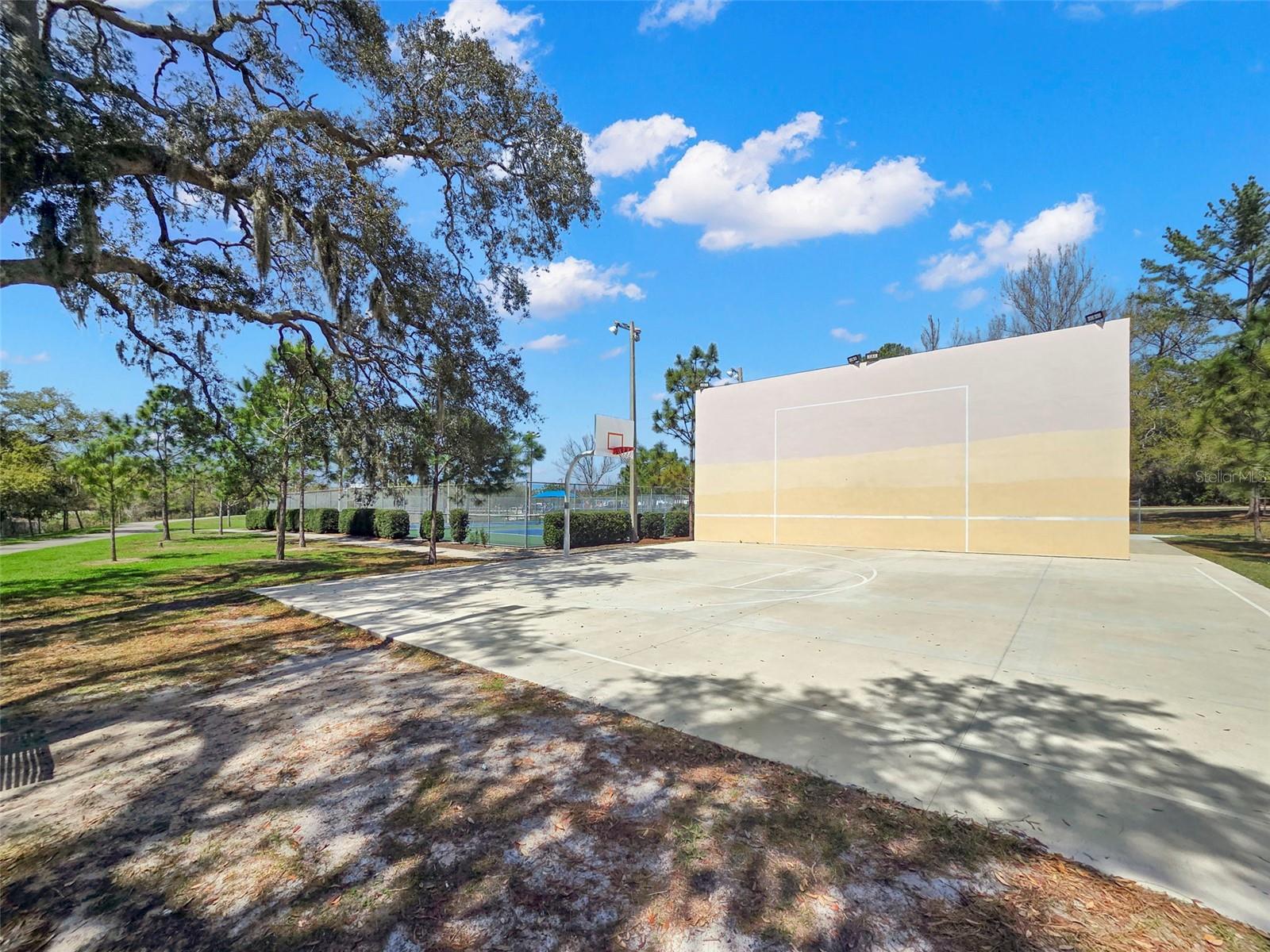 2221 Ter Dr CLEARWATER, FL 33765