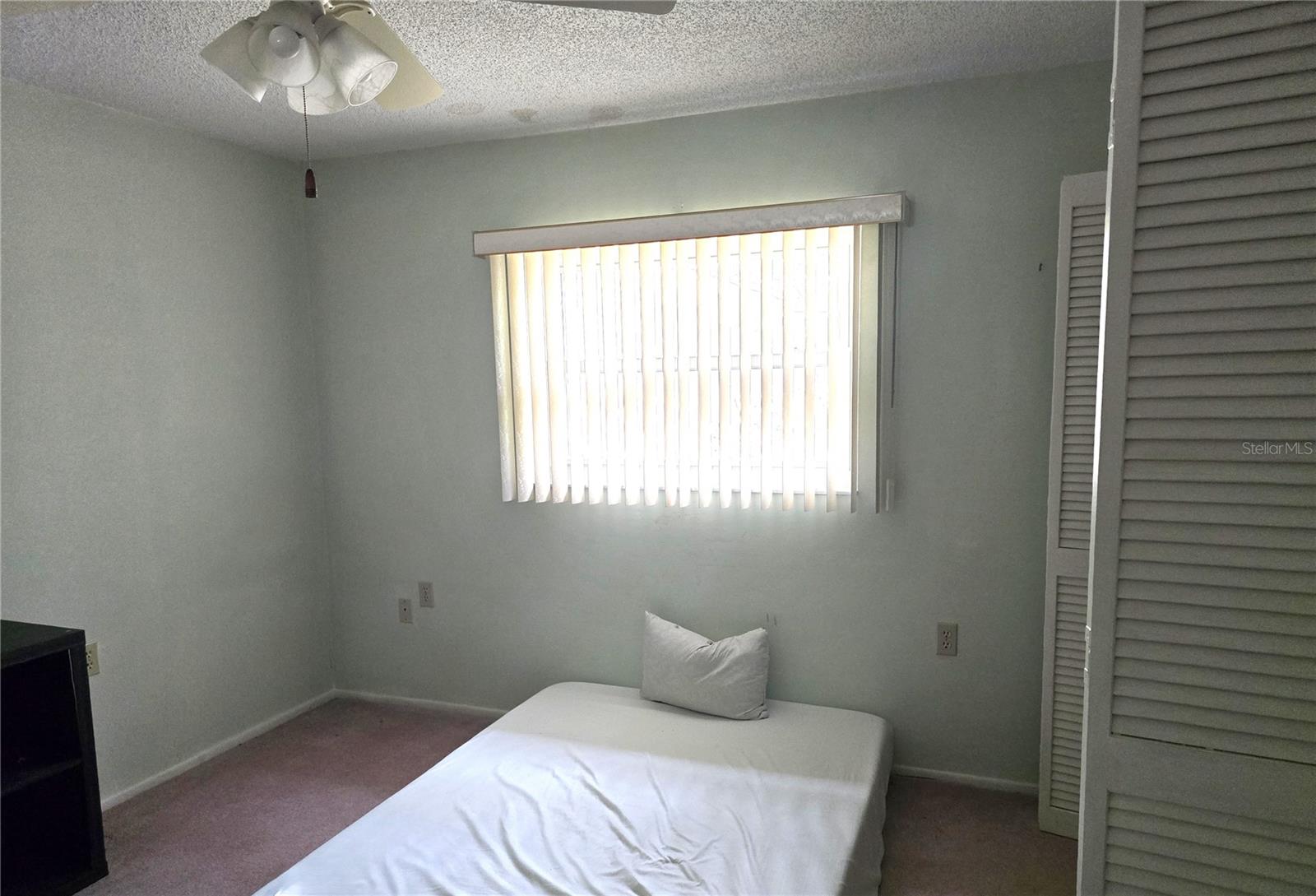 10641 TIMBER Ln PORT RICHEY, FL 34668