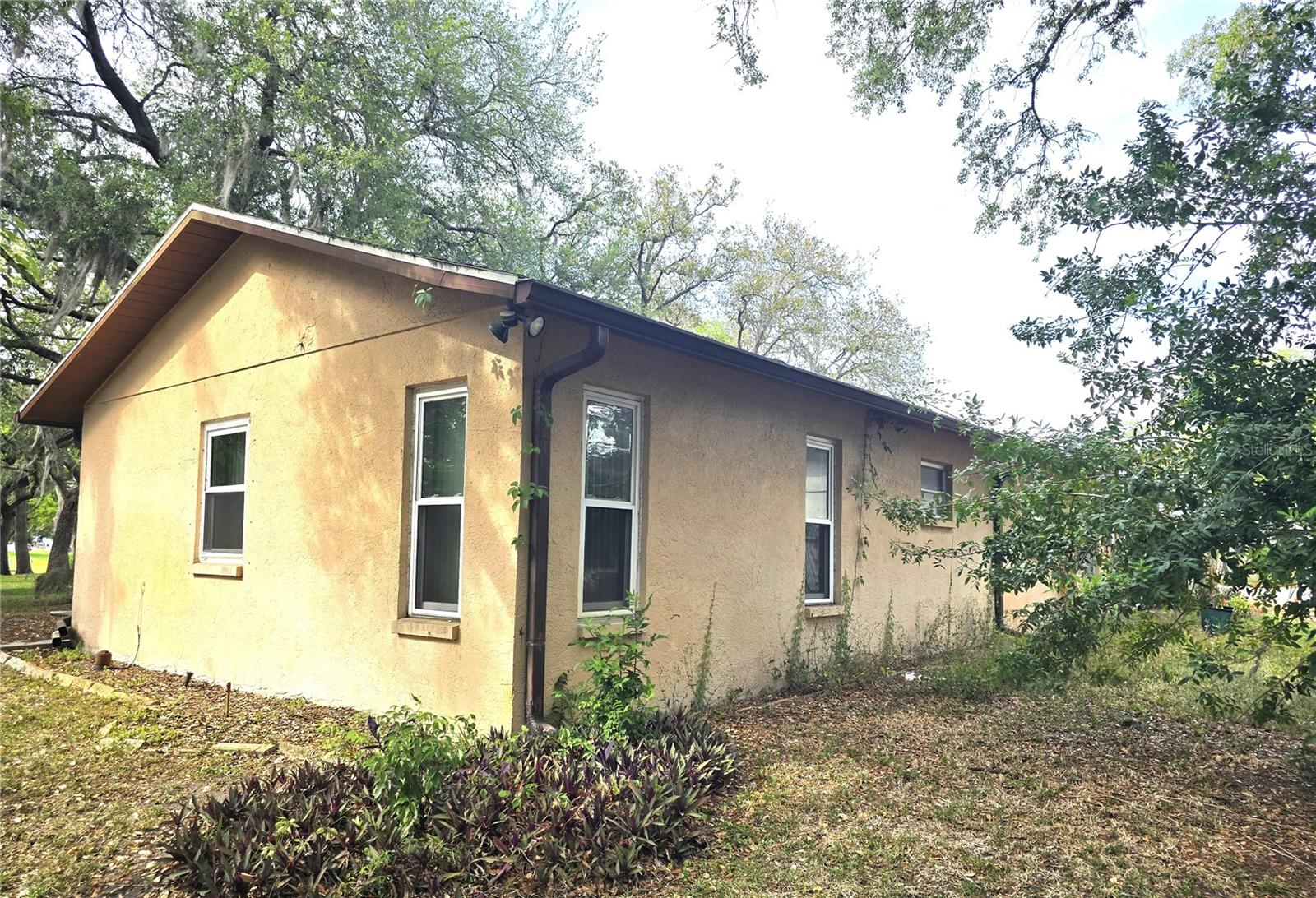 10641 TIMBER Ln PORT RICHEY, FL 34668