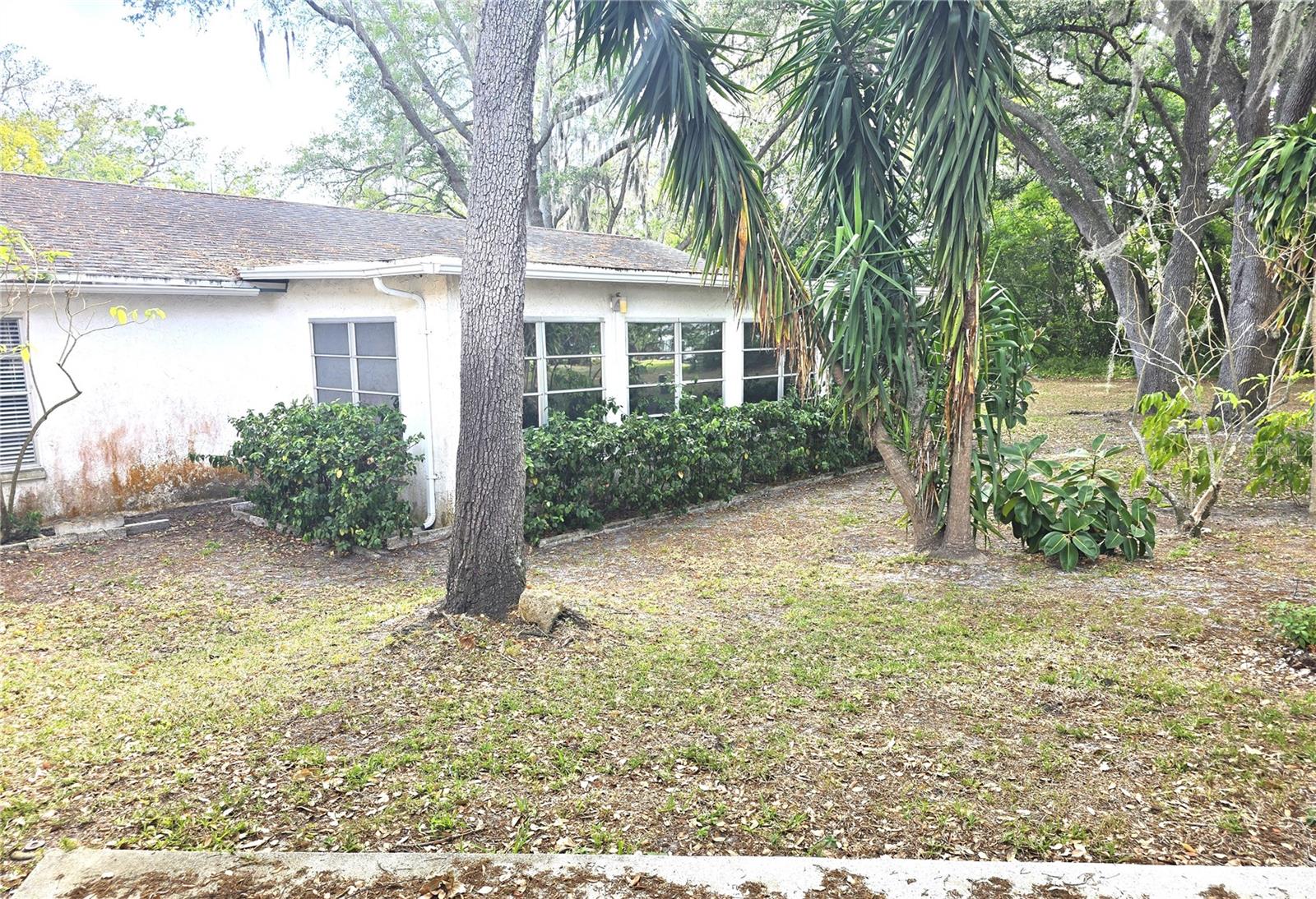 10641 TIMBER Ln PORT RICHEY, FL 34668