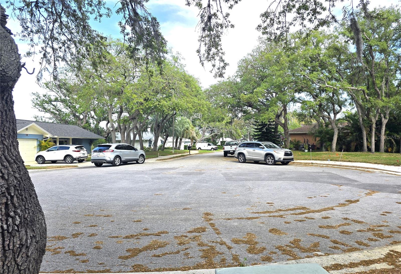 10641 TIMBER Ln PORT RICHEY, FL 34668