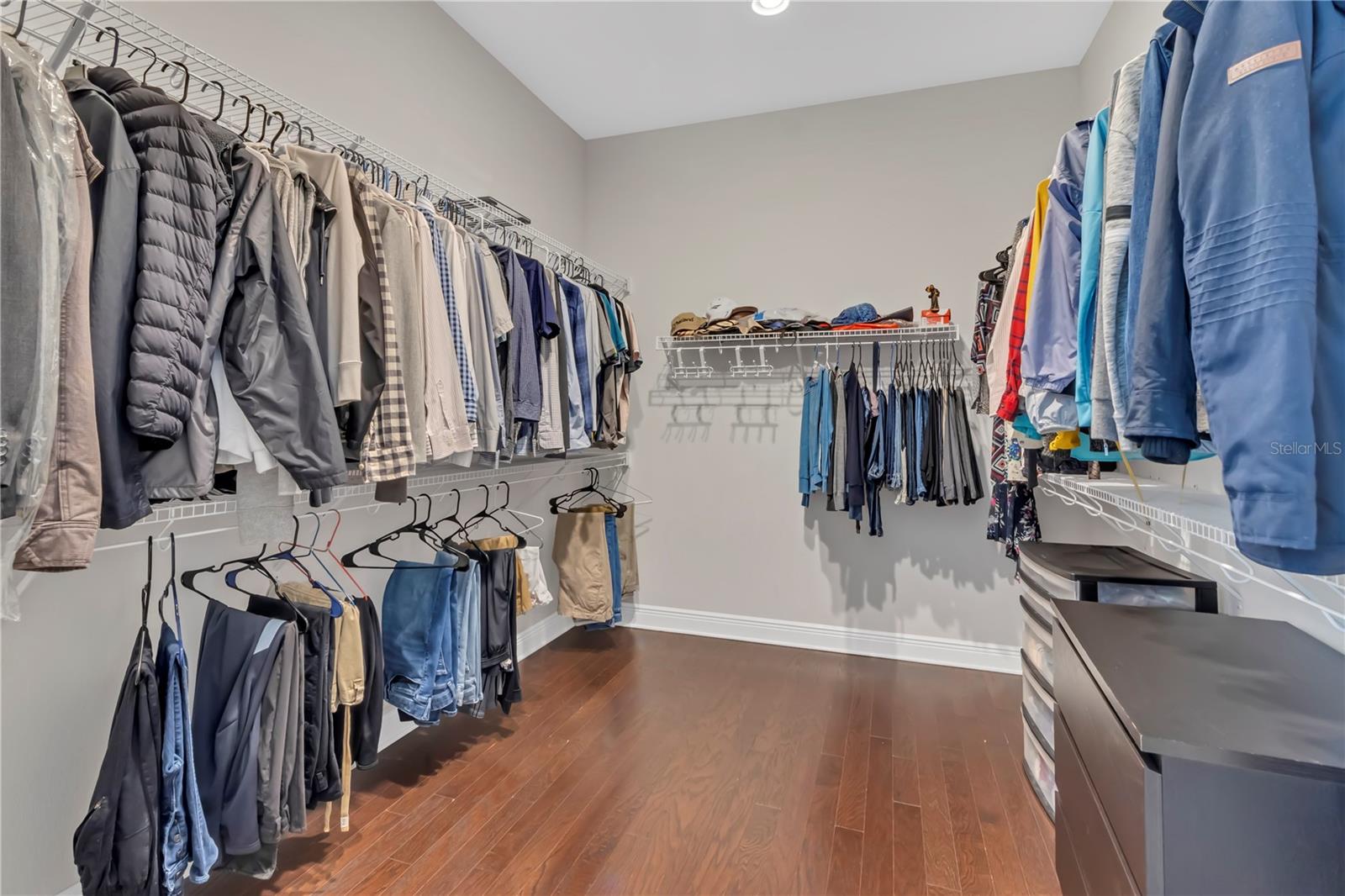 14246 CREEKBED Cir WINTER GARDEN, FL 34787