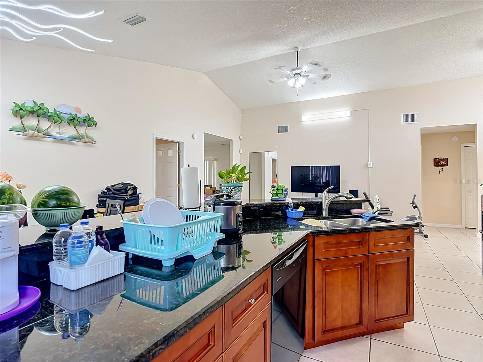 1036 DUDLEY Dr KISSIMMEE, FL 34758