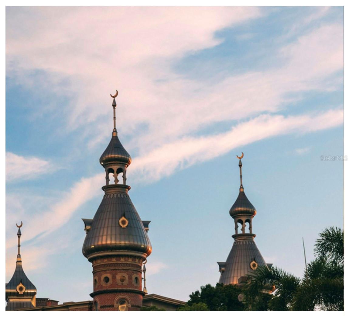 111 S ASHLEY Dr #1908 TAMPA, FL 33602