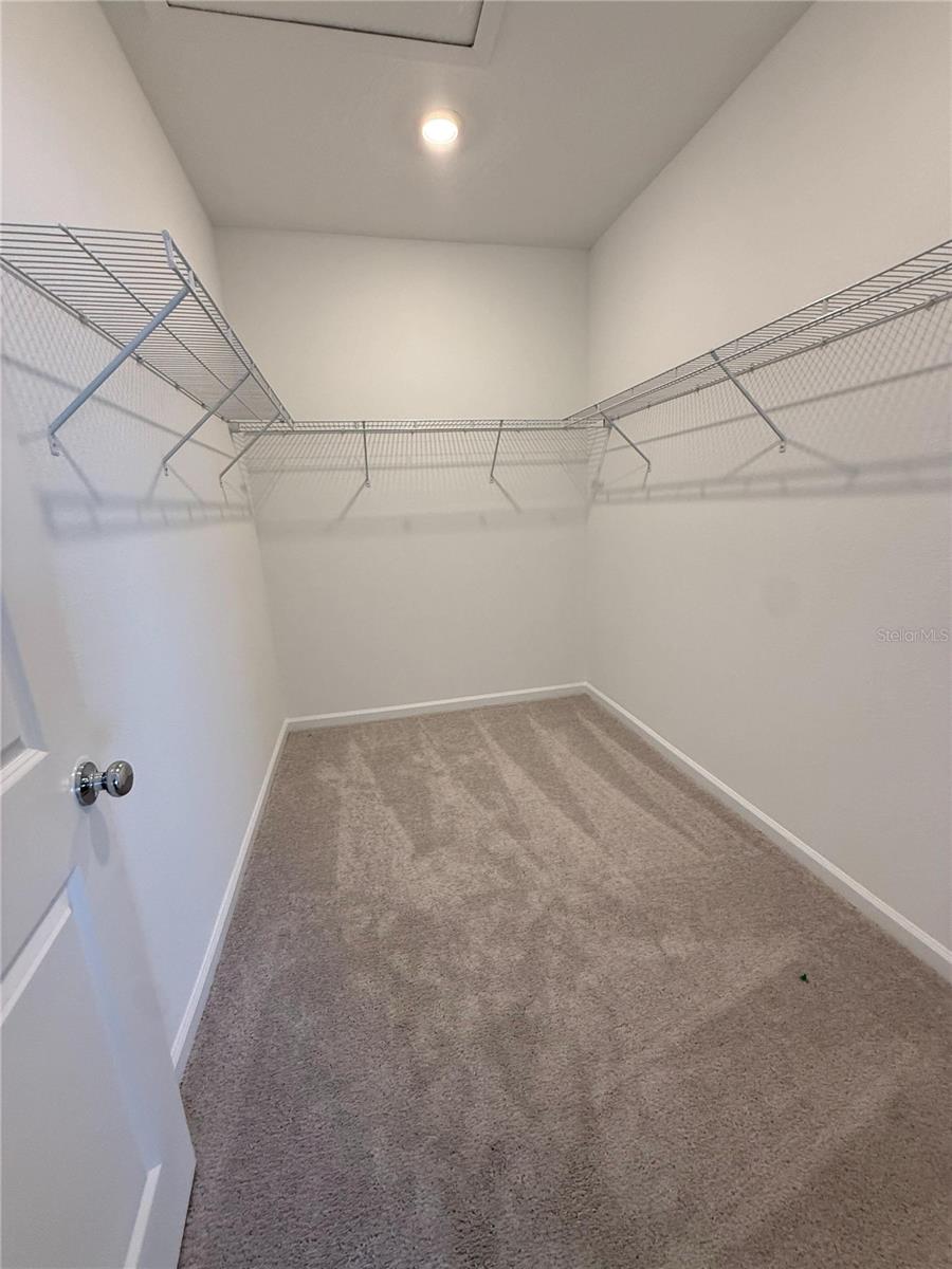 2332 RIDER RAIN Ln APOPKA, FL 32703