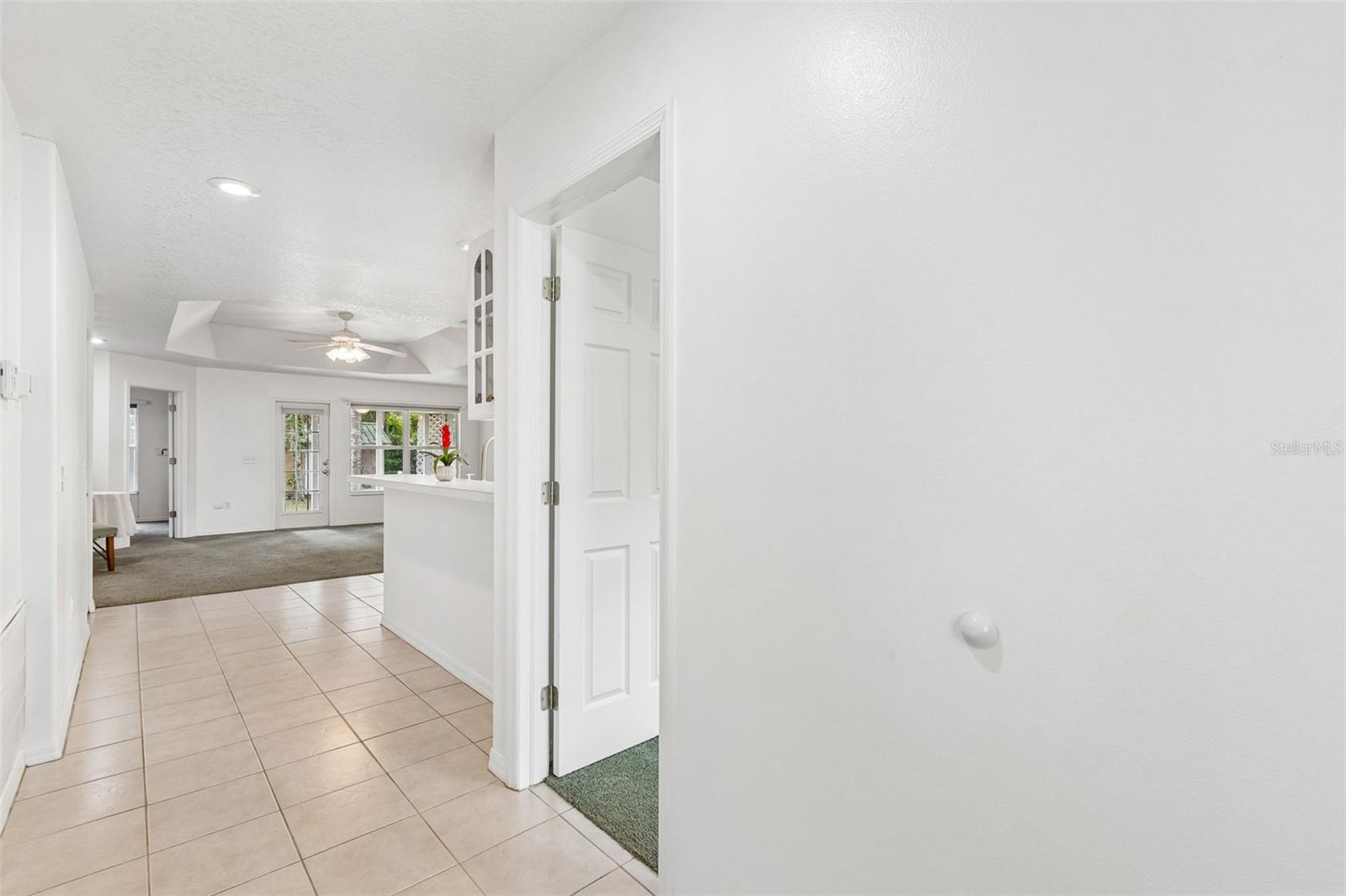 17939 QUAIL Ln LUTZ, FL 33548
