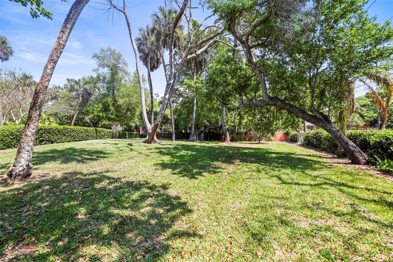1600 Park St ST PETERSBURG, FL 33710