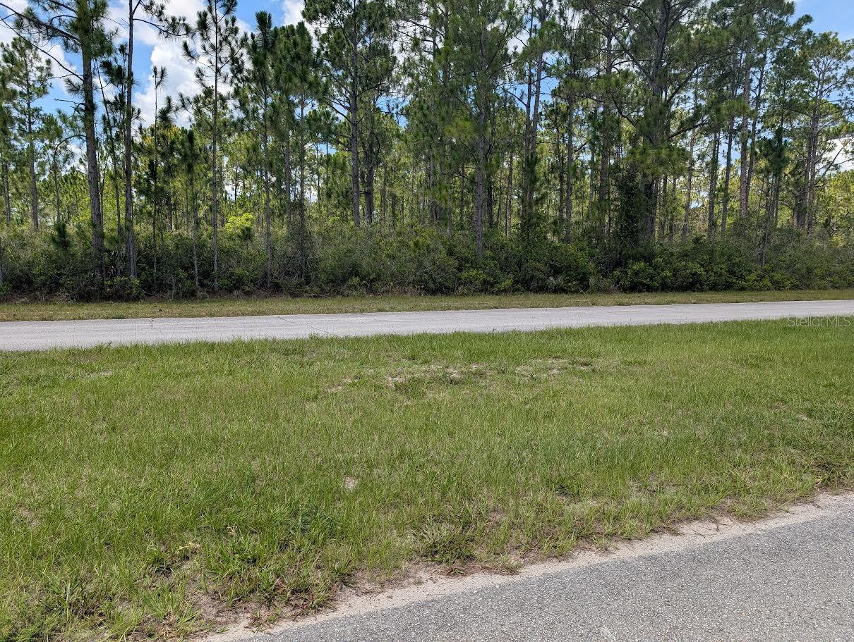 DELAND Ave INDIAN LAKE ESTATES, FL 33855