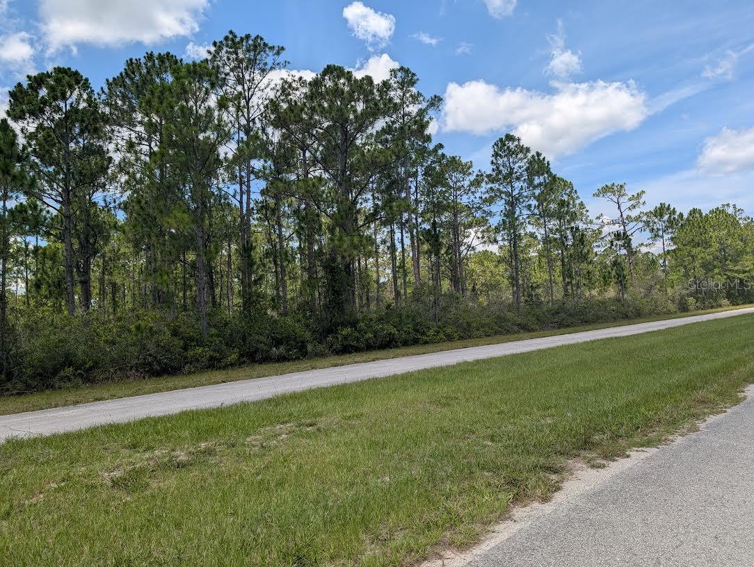 DELAND Ave INDIAN LAKE ESTATES, FL 33855