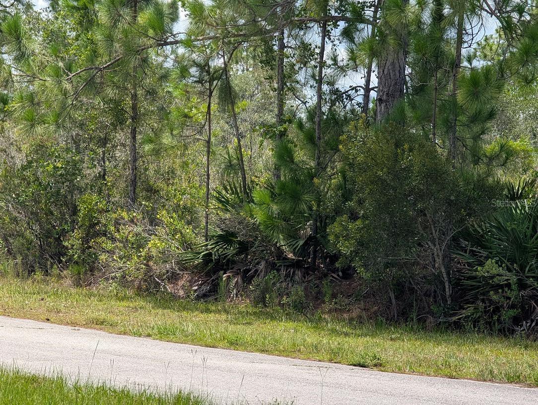 DELAND Ave INDIAN LAKE ESTATES, FL 33855