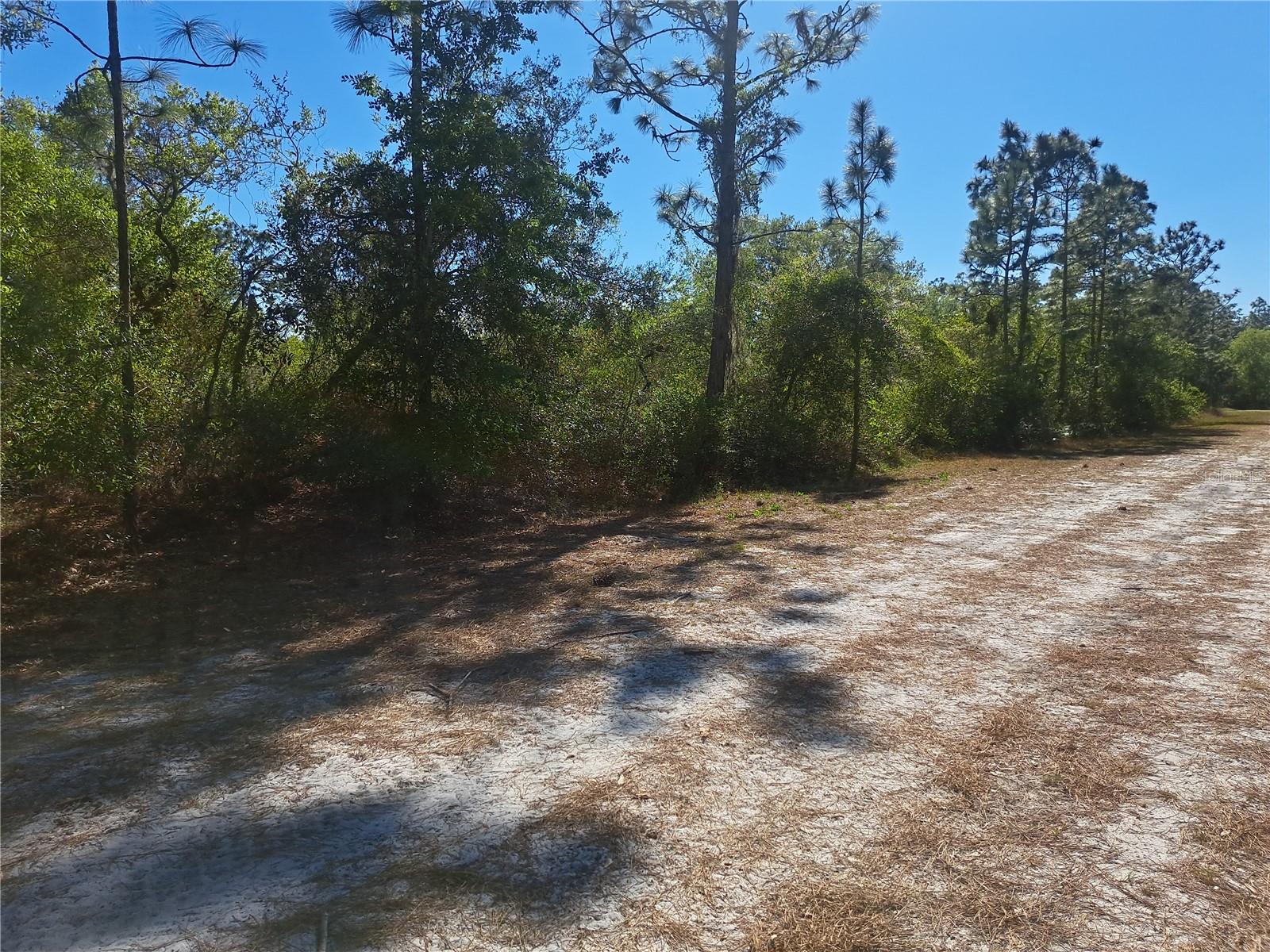 604 CAMELLIA Dr INDIAN LAKE ESTATES, FL 33855