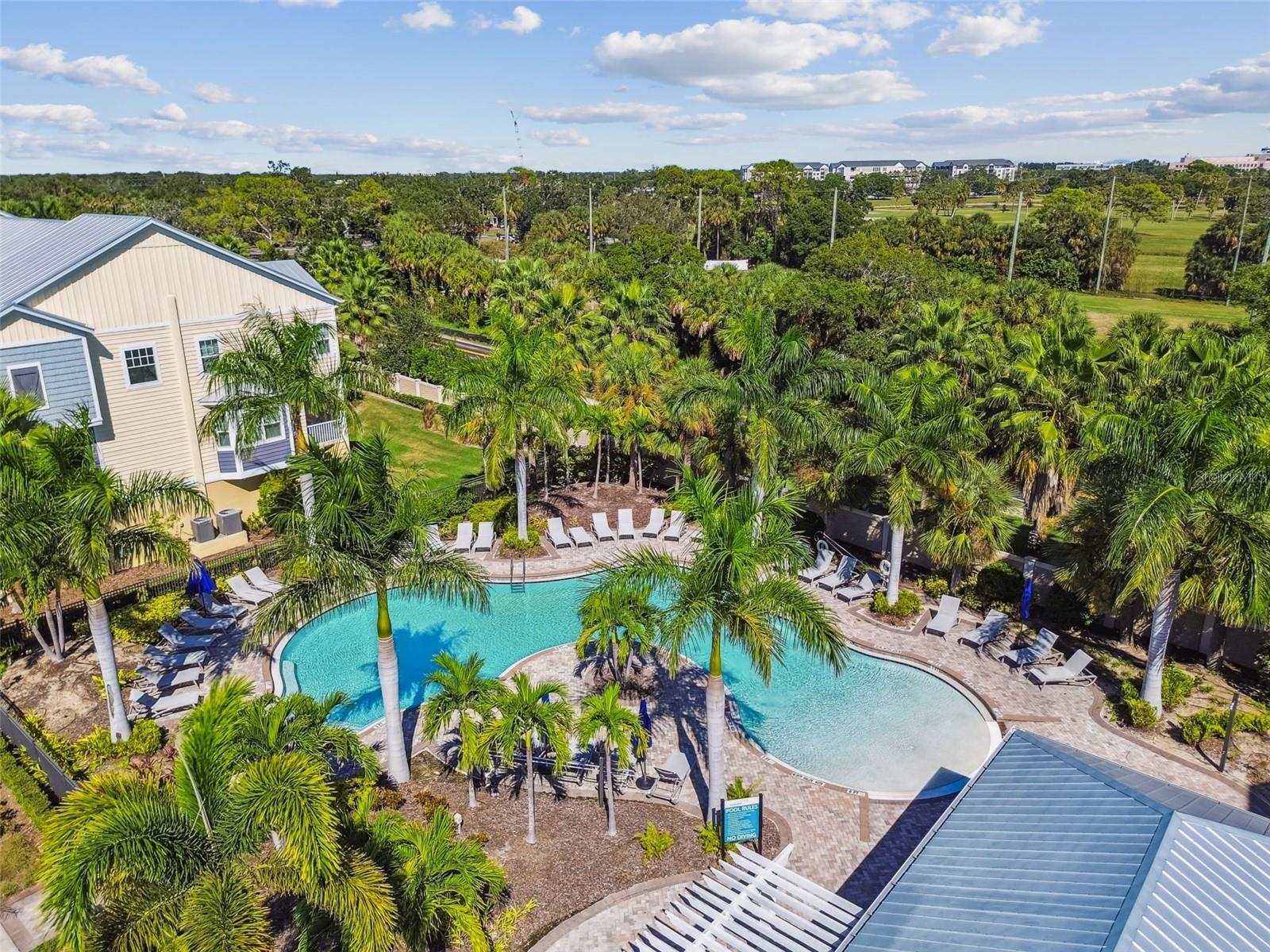 4054 ROCKY SHORES Dr TAMPA, FL 33634