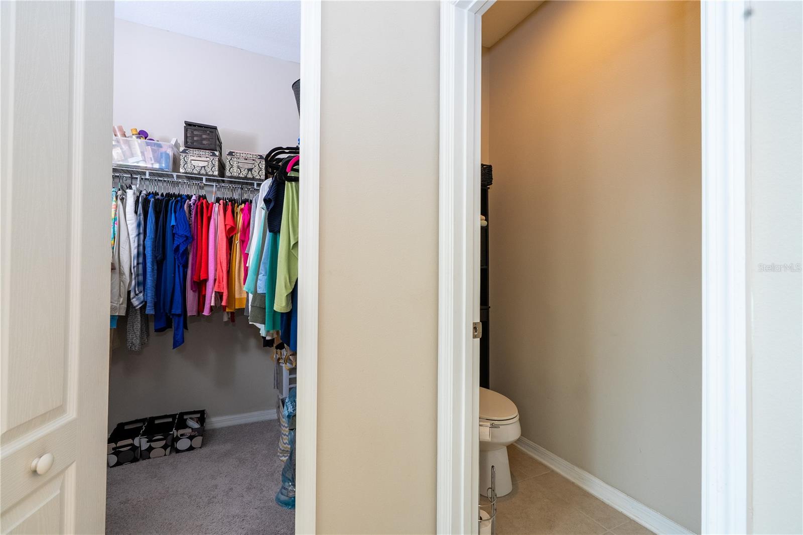 8118 SURF BIRD St WINTER GARDEN, FL 34787