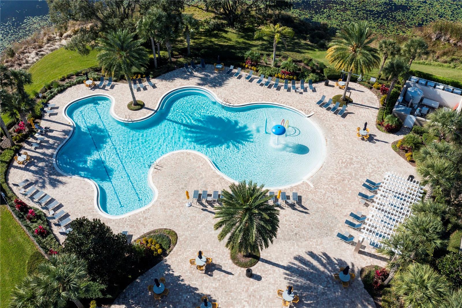 8118 SURF BIRD St WINTER GARDEN, FL 34787