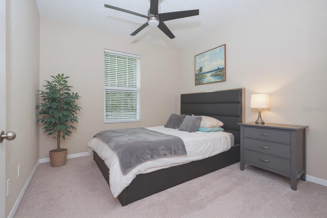 8118 SURF BIRD St WINTER GARDEN, FL 34787