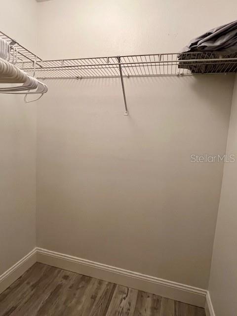 1810 E PALM Ave #2104 TAMPA, FL 33605