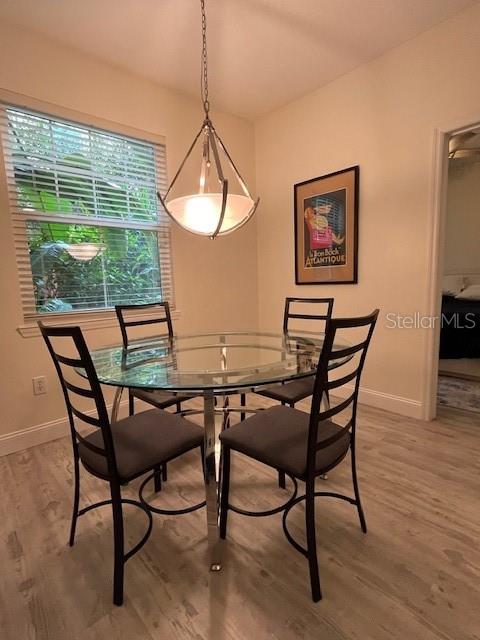 1810 E PALM Ave #2104 TAMPA, FL 33605