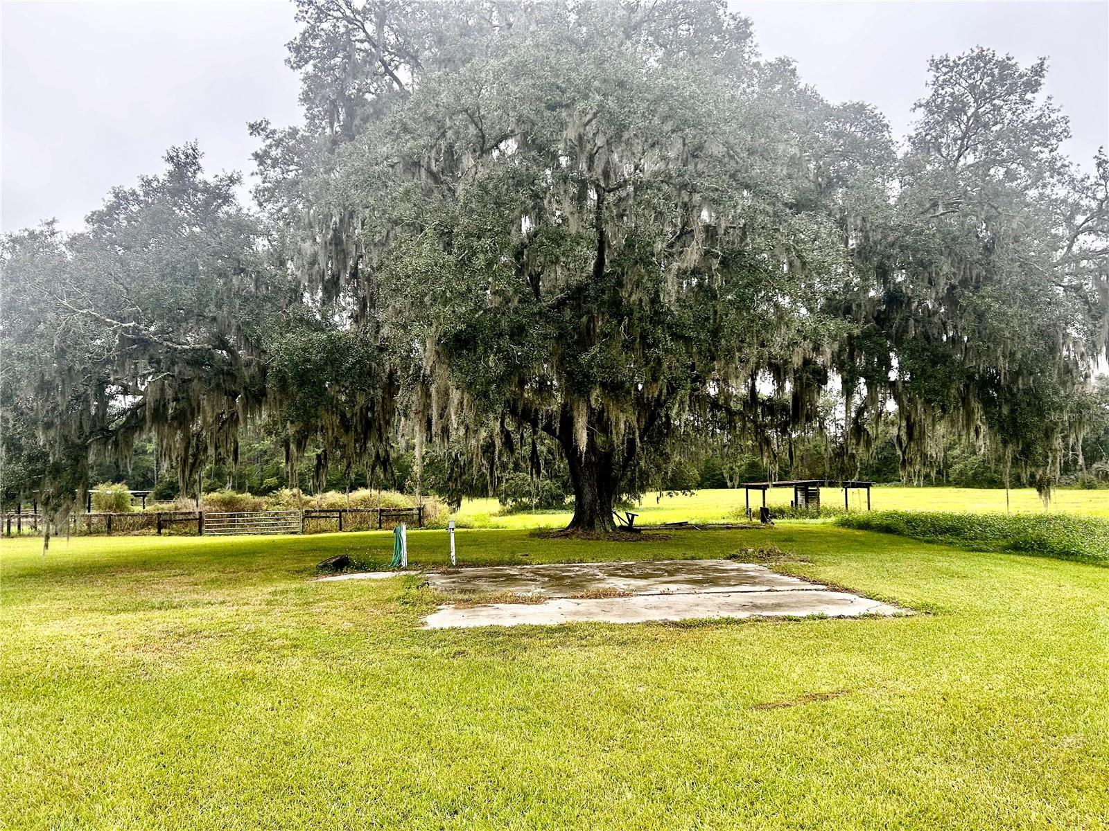 9422 NW 125TH Ave OCALA, FL 34482