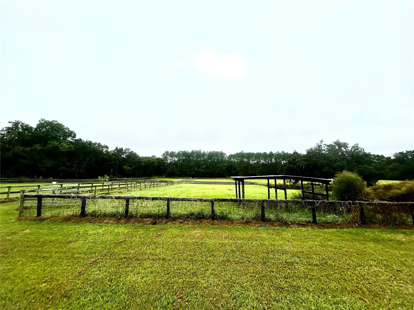 9422 NW 125TH Ave OCALA, FL 34482