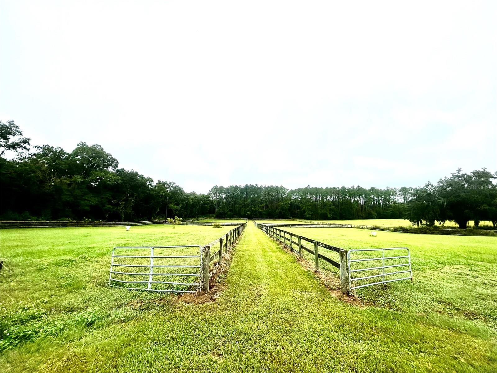 9422 NW 125TH Ave OCALA, FL 34482