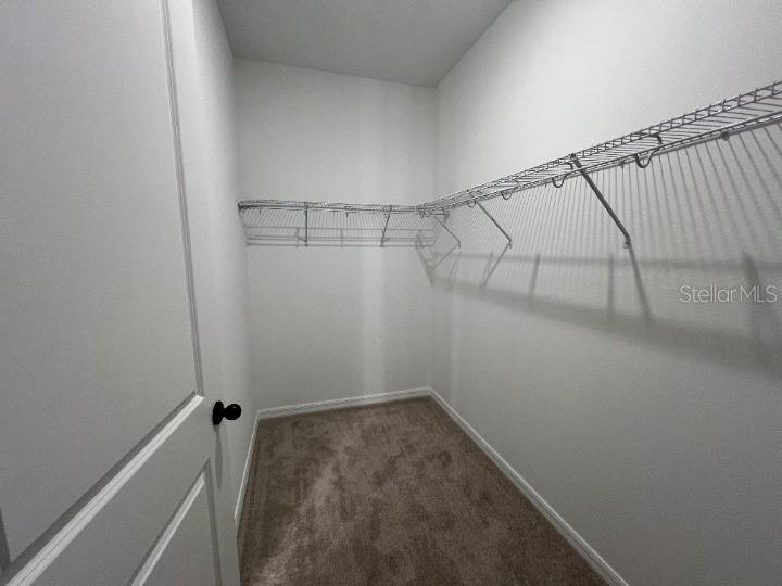 2589 BROADWING St KISSIMMEE, FL 34746