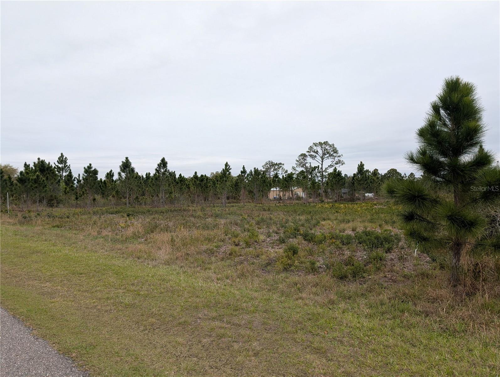 224 POINCIANA Dr INDIAN LAKE ESTATES, FL 33855