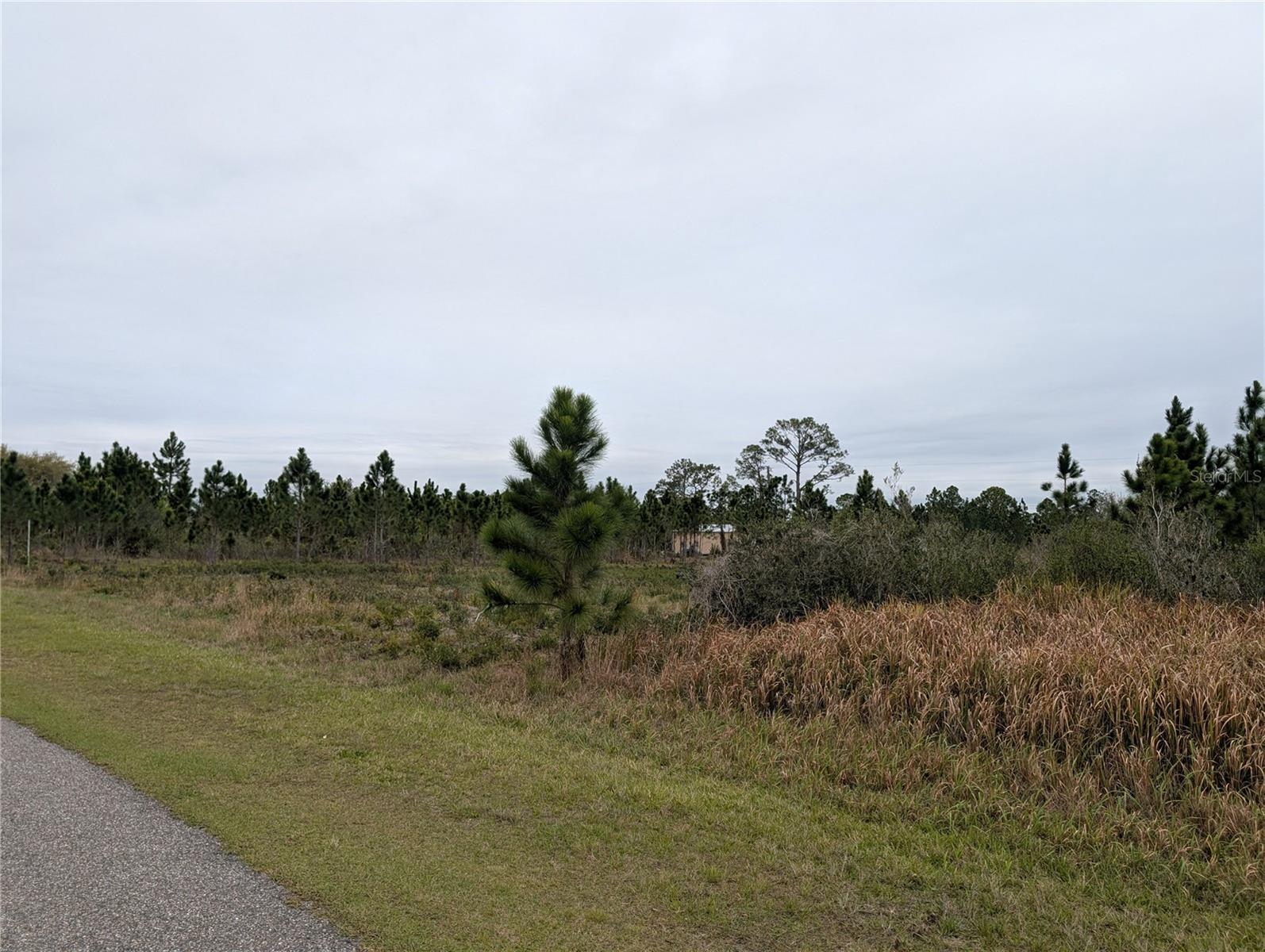 224 POINCIANA Dr INDIAN LAKE ESTATES, FL 33855