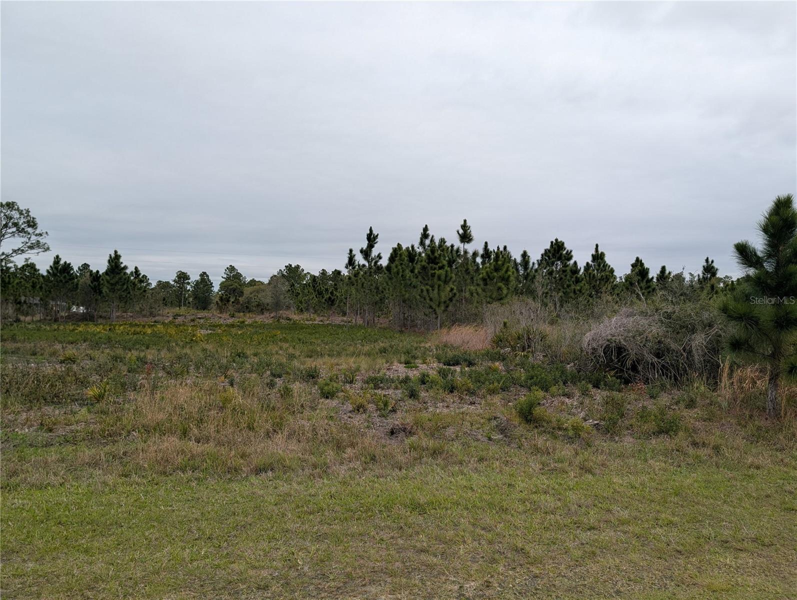 224 POINCIANA Dr INDIAN LAKE ESTATES, FL 33855