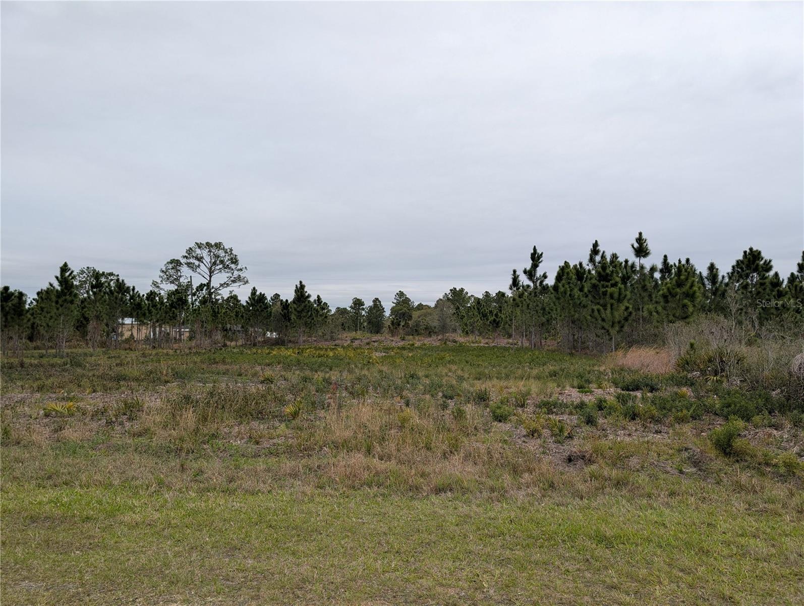 224 POINCIANA Dr INDIAN LAKE ESTATES, FL 33855