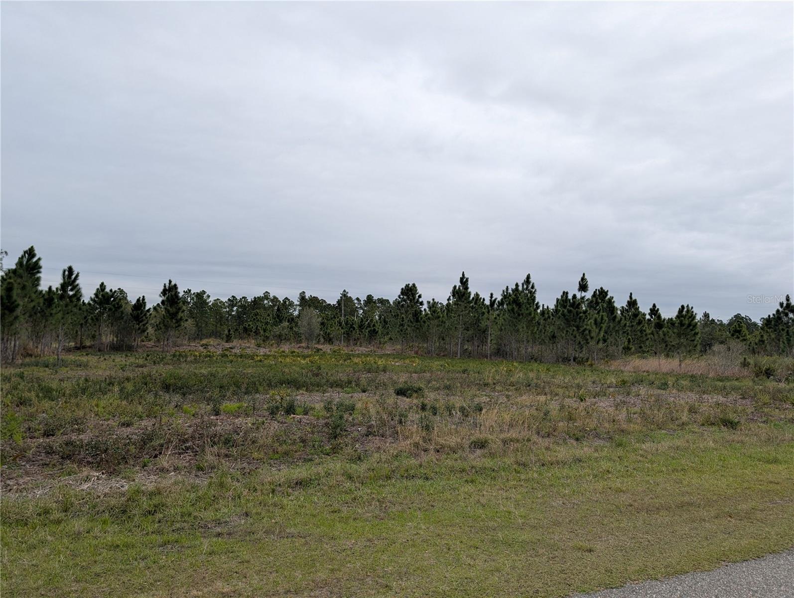 224 POINCIANA Dr INDIAN LAKE ESTATES, FL 33855