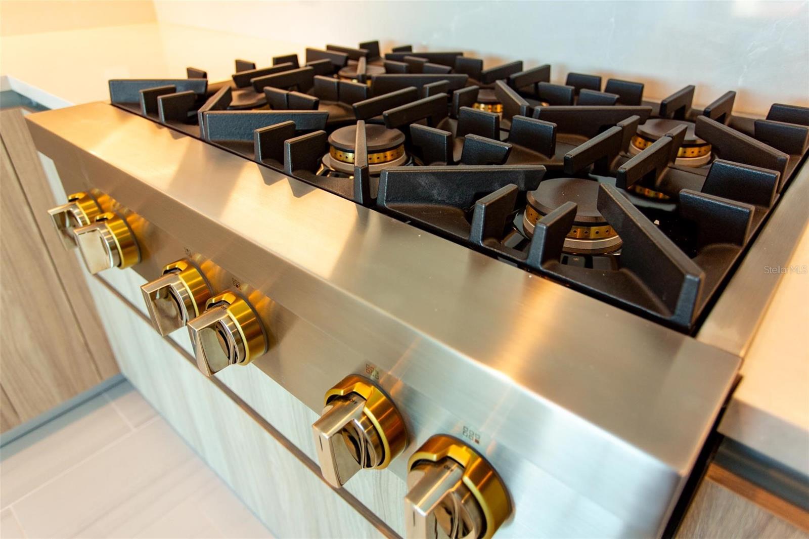 400 CENTRAL Ave #1609 ST PETERSBURG, FL 33701