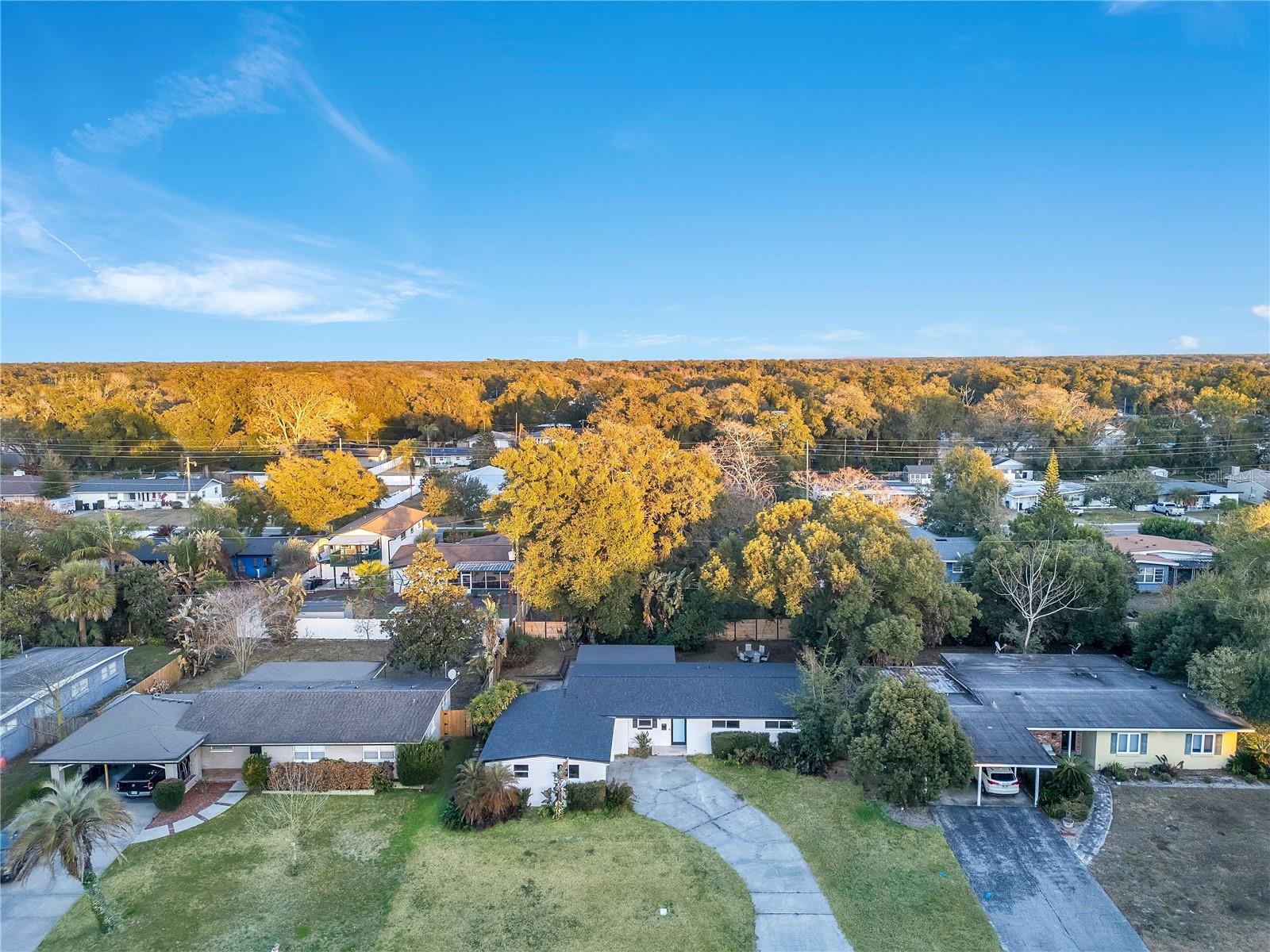 3246 INVERNESS Ct ORLANDO, FL 32806