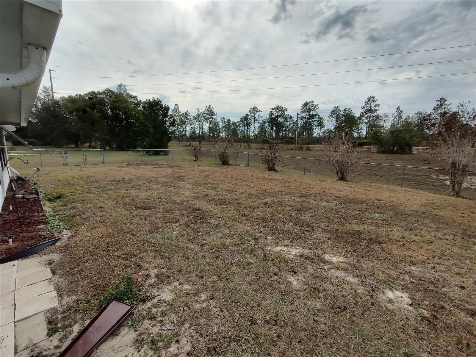 8274 SW 116TH St OCALA, FL 34481