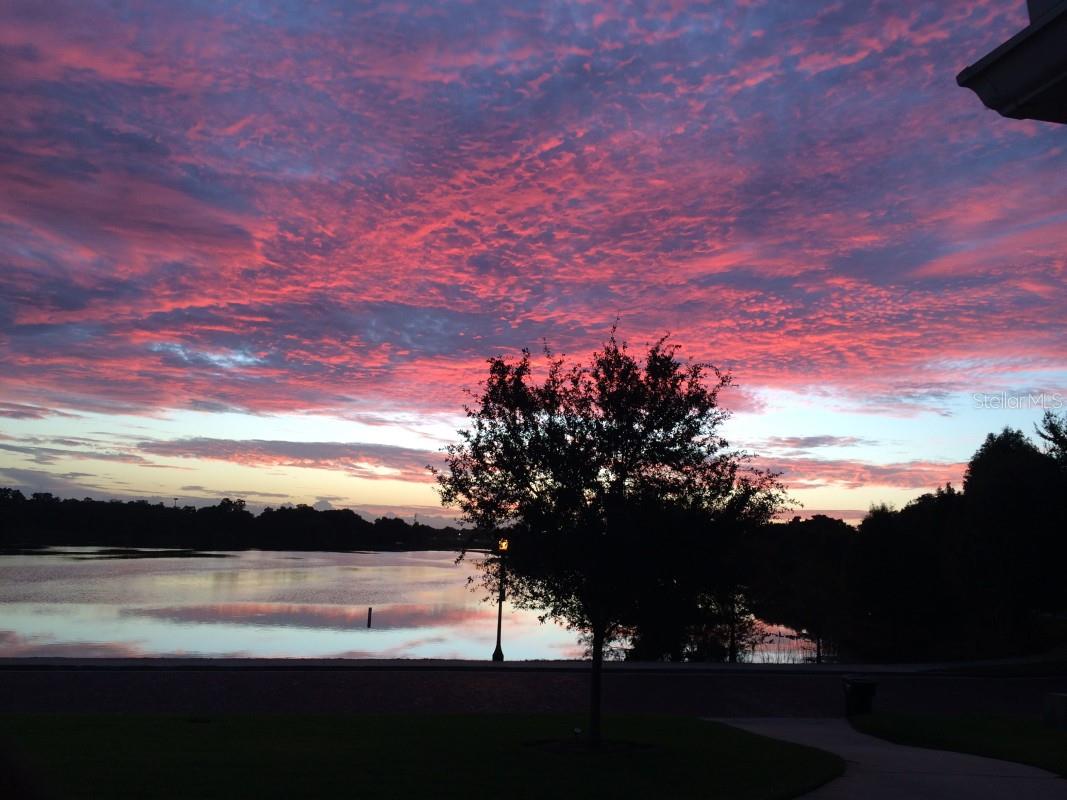 1410 POINSETTIA Ave ORLANDO, FL 32804