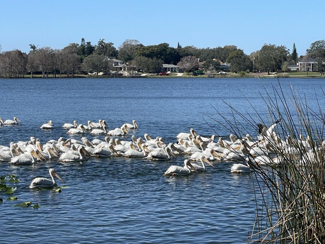 1410 POINSETTIA Ave ORLANDO, FL 32804