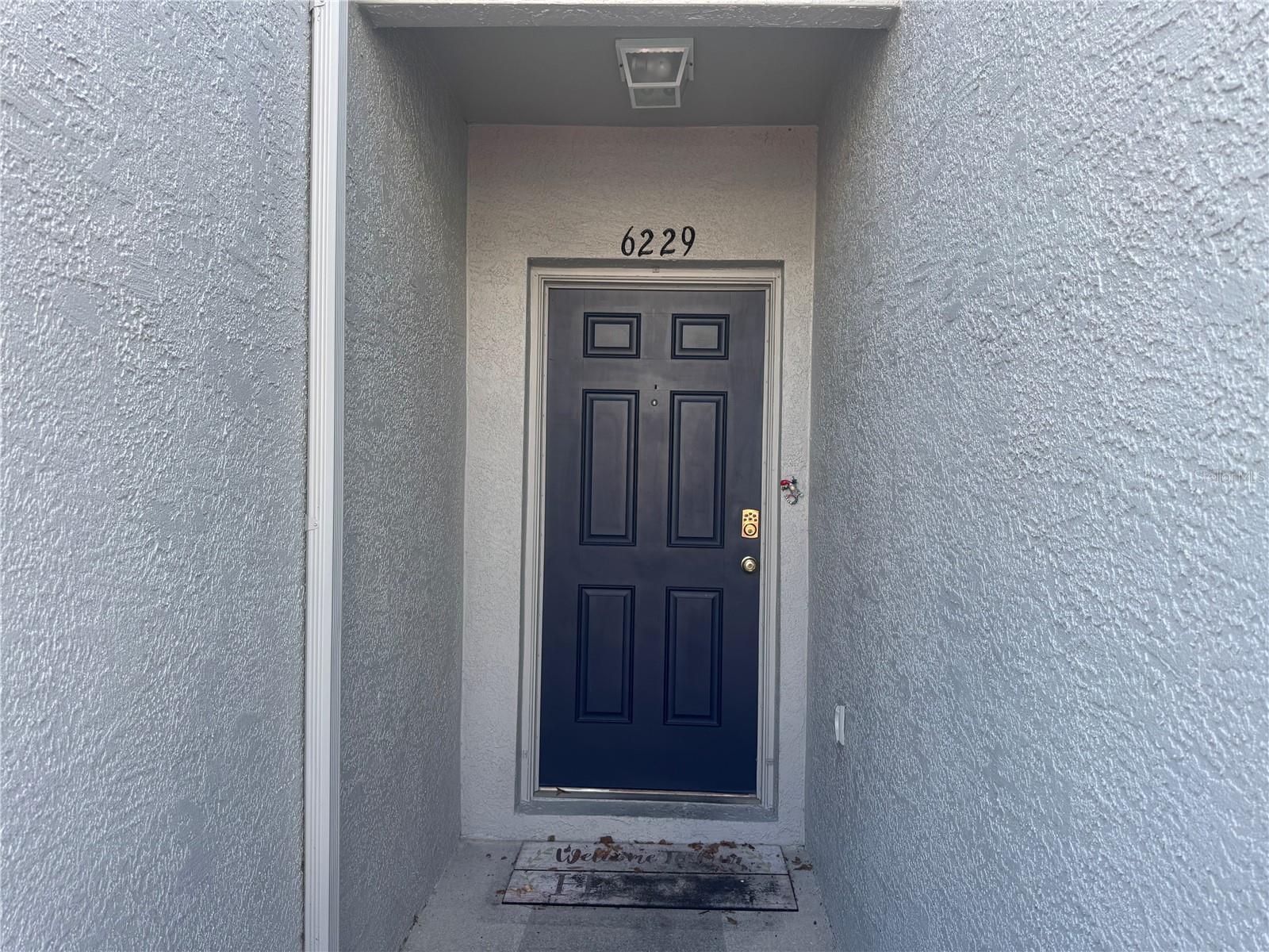 6229 OSPREY Lk Cir RIVERVIEW, FL 33578