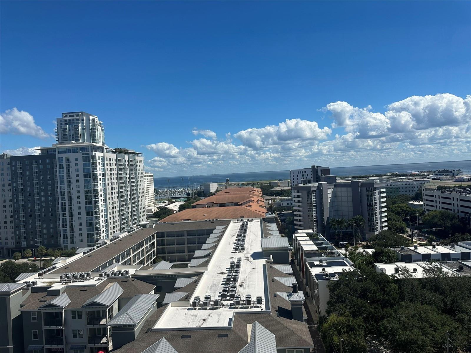 400 4TH Ave #1207 ST PETERSBURG, FL 33701