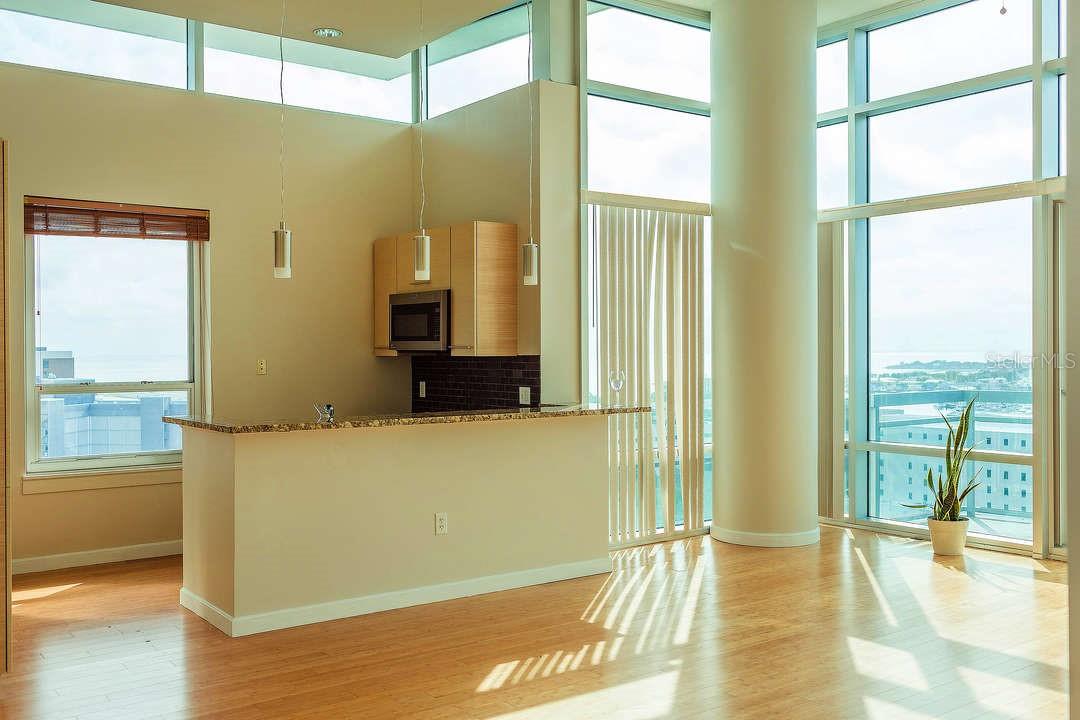 400 4TH Ave #1207 ST PETERSBURG, FL 33701