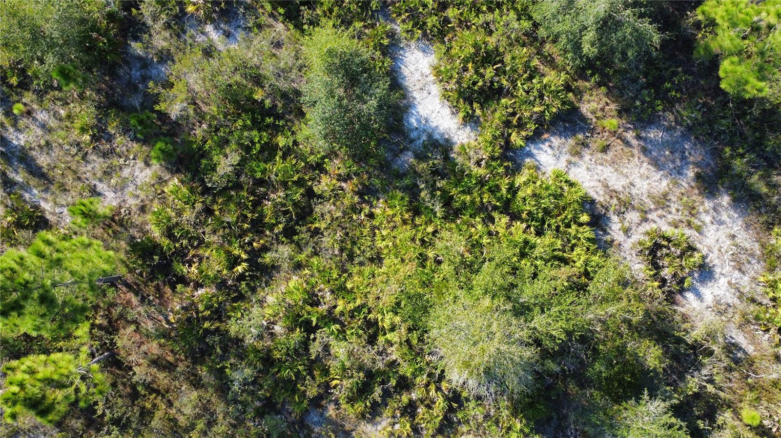 519 ALLAMANDA Dr INDIAN LAKE ESTATES, FL 33855