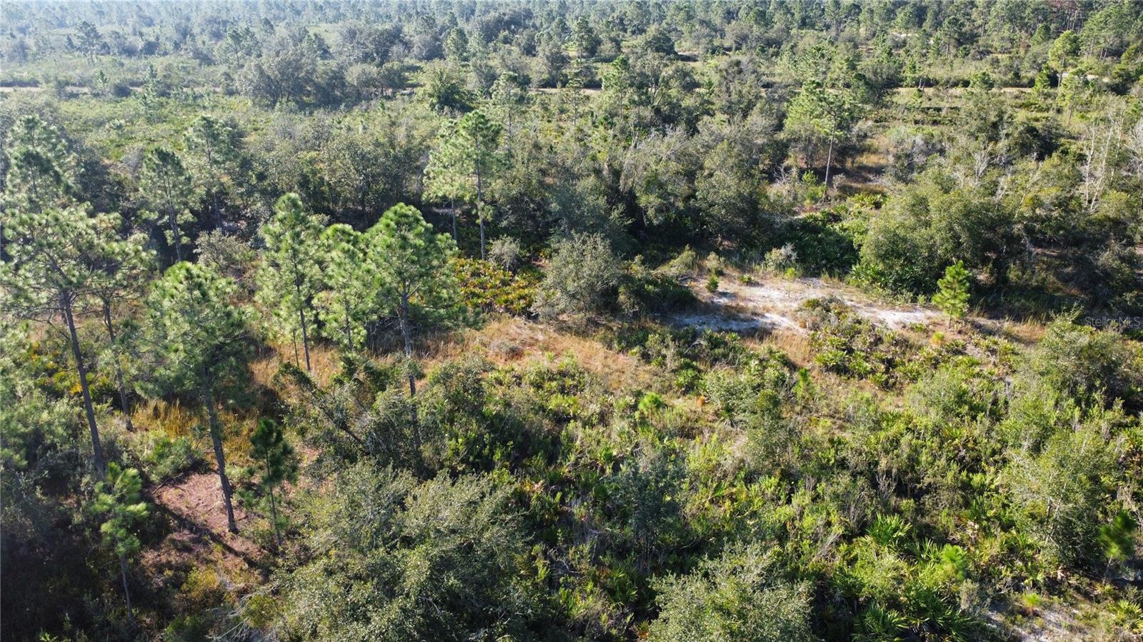 519 ALLAMANDA Dr INDIAN LAKE ESTATES, FL 33855