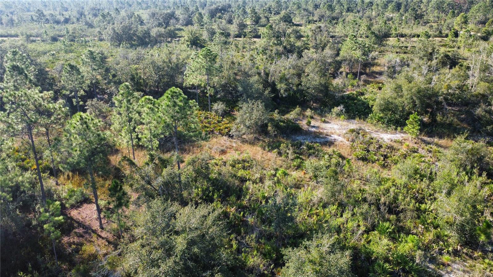 519 ALLAMANDA Dr INDIAN LAKE ESTATES, FL 33855