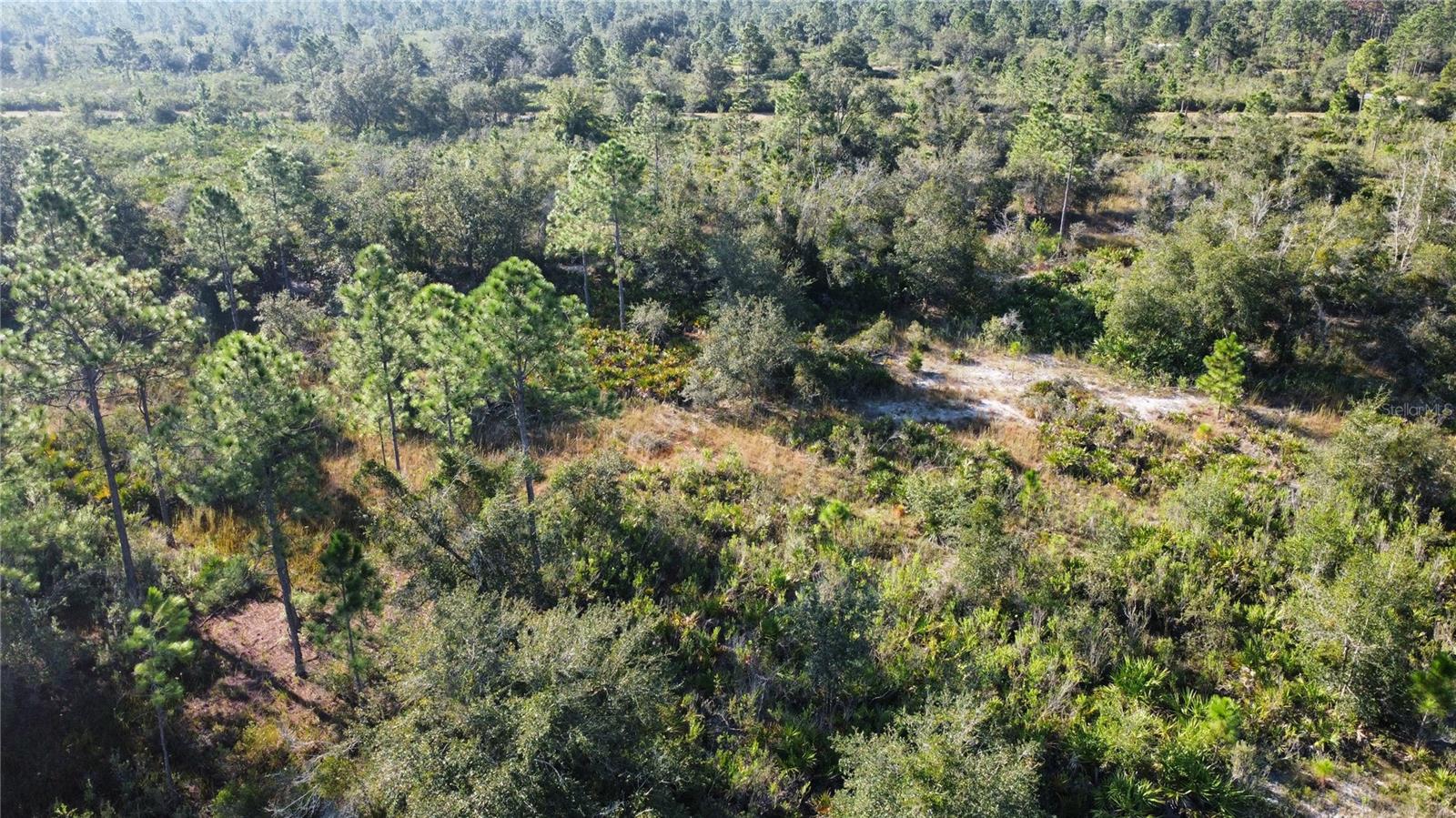 519 ALLAMANDA Dr INDIAN LAKE ESTATES, FL 33855