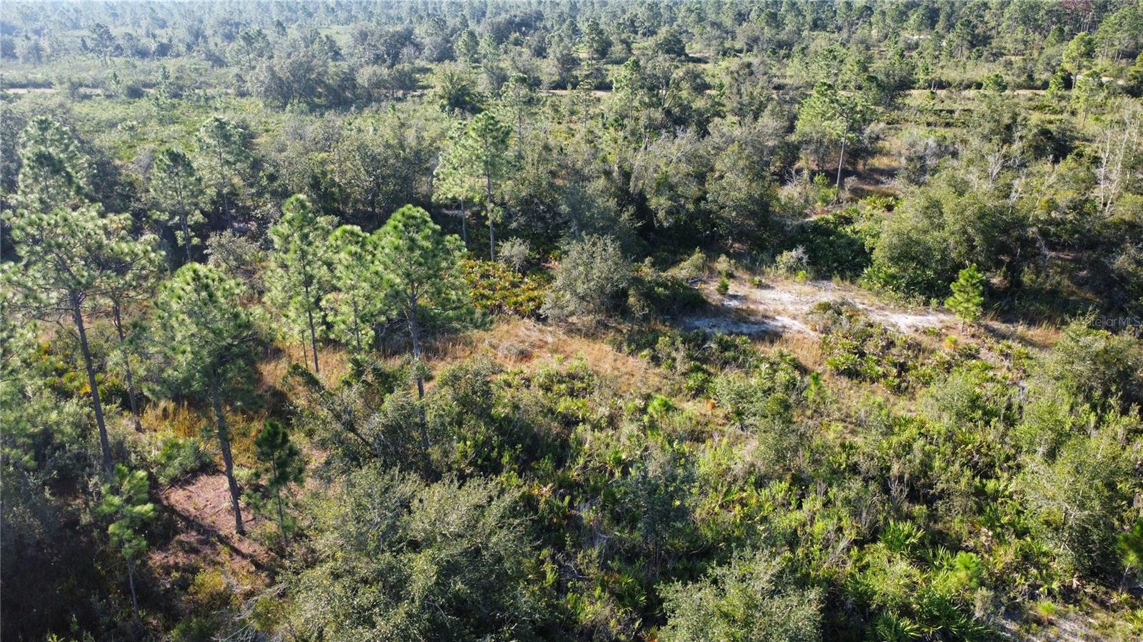 519 ALLAMANDA Dr INDIAN LAKE ESTATES, FL 33855