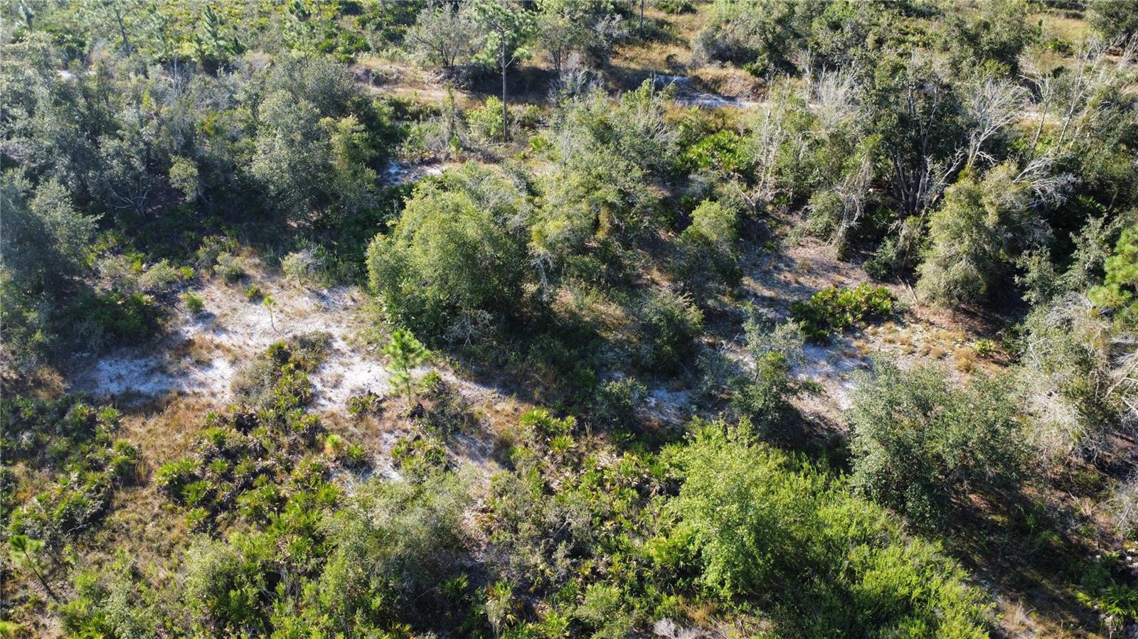 519 ALLAMANDA Dr INDIAN LAKE ESTATES, FL 33855